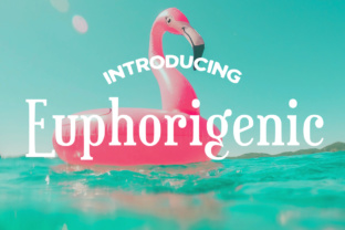 Euphorigenic: A Playful Slab-Serif Font for Branding
