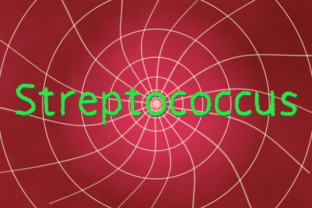 Streptococcus Font Review: A Playful Typeface for Web Design