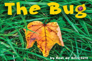 The Bug: A Bold Blackletter Font for Campaign Impact