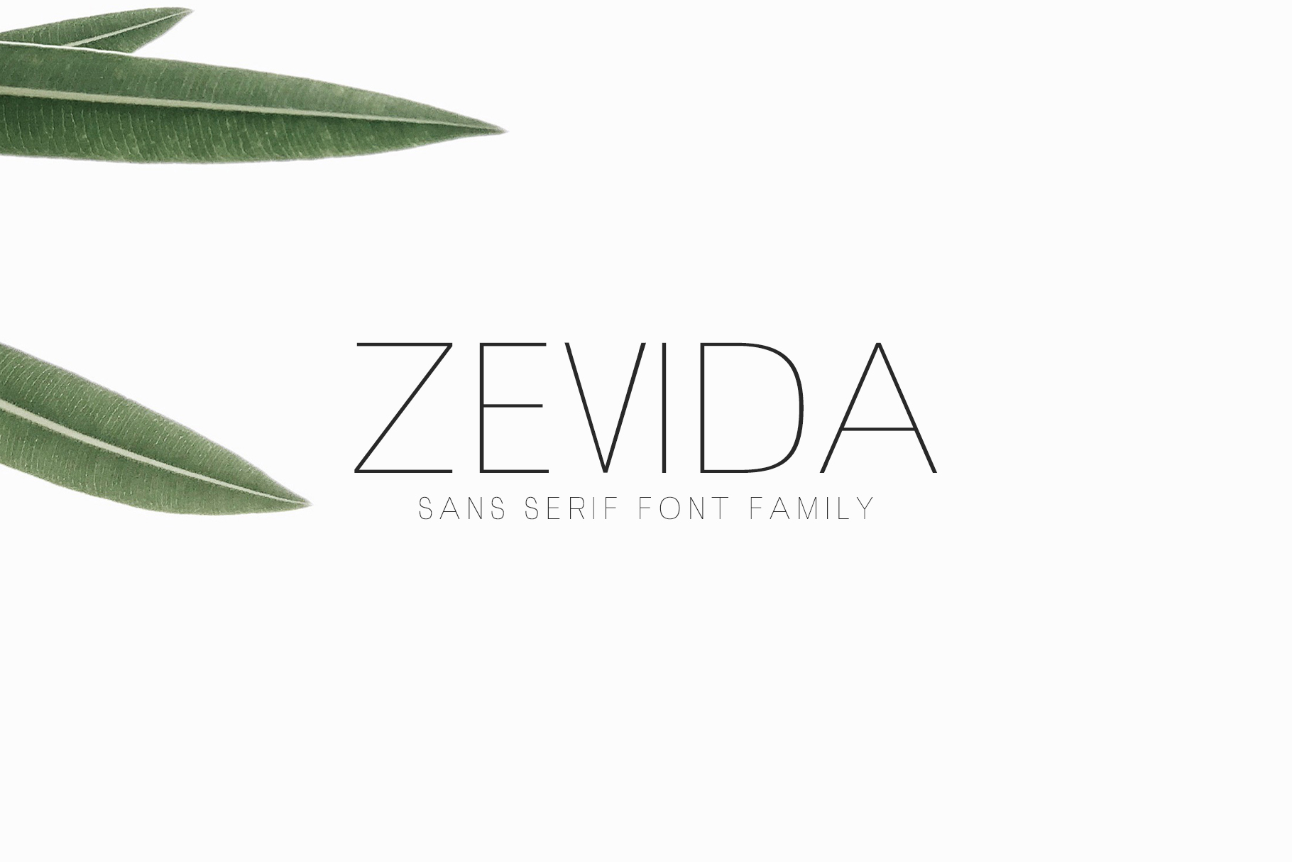 Zevida: The Clean Typeface That Elevates Small Business Brands
